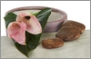 Orchids